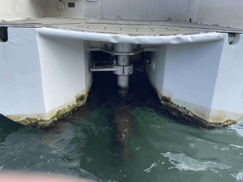 Project management assessment of damaged and unprotected rudder area