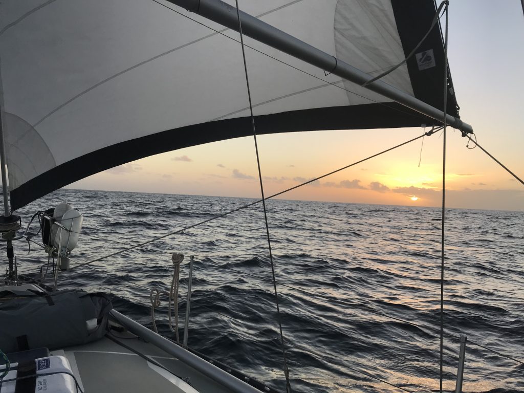 Spinnaker pole holding foresail as part of a gull wing sail setup